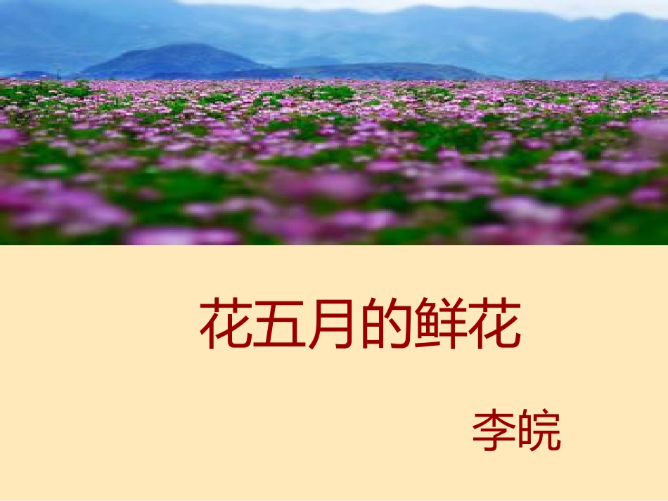 20五月的鲜花[20页]_第1页