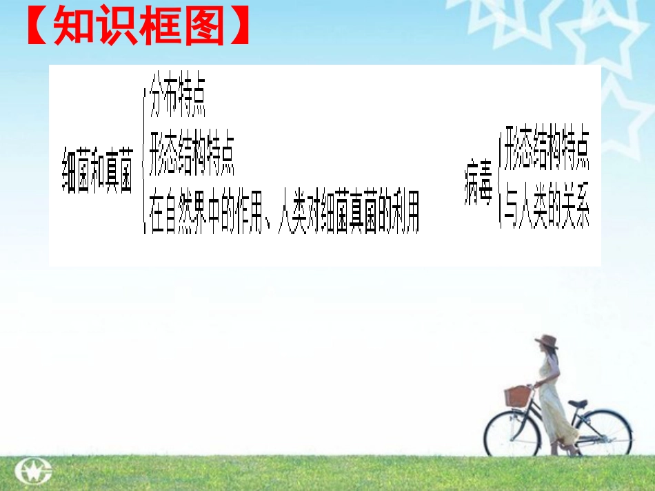 20172018学年生物中考《细菌、真菌和病毒》复习学案(共28张PPT)_第3页