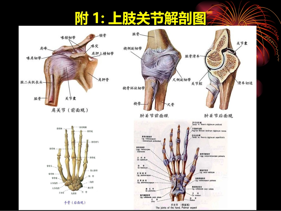 《上肢矫形器》[89页]_第3页