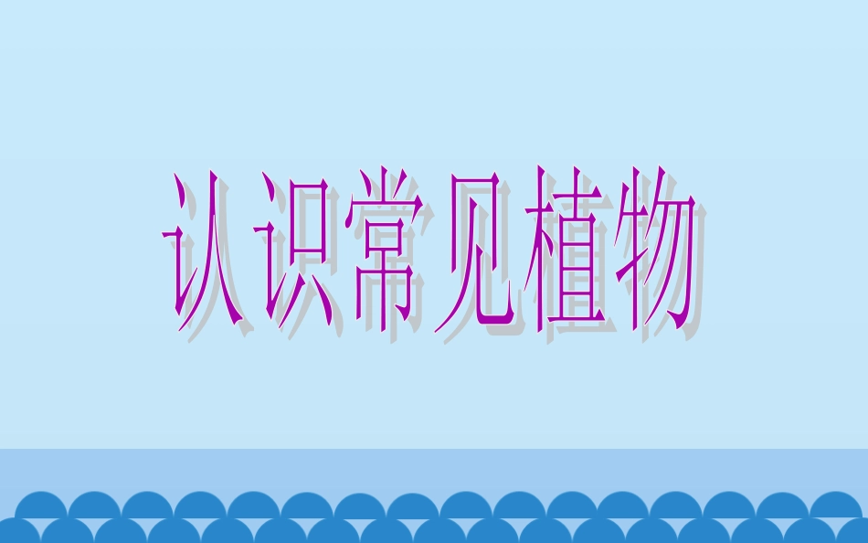 2018大象版小学科学一年级下册2.1《认识常见植物》ppt课件之一_第1页