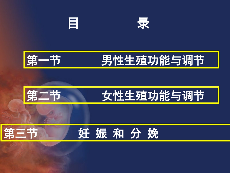 医学生理学生殖ppt培训课件_第2页