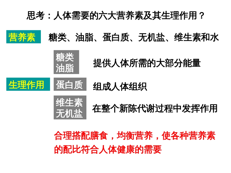 生命活动的物质基础[30页]_第2页