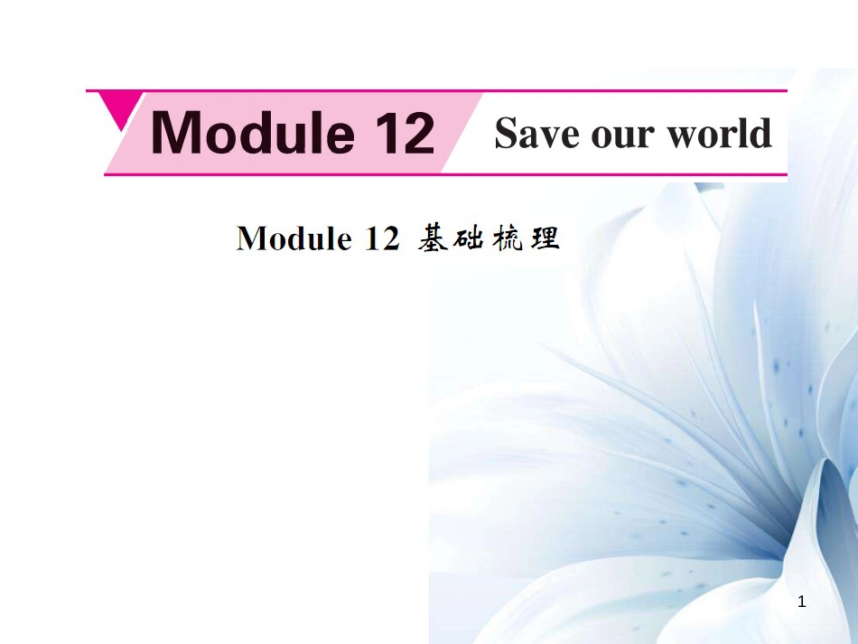 九年级英语上册 Module 12 Save our world基础梳理课件 （新版）外研版[共7页]_第1页