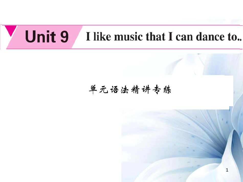 九年级英语全册 Unit 9 I like the music that I can dance to语法精讲专练课件 （新版）人教新目标版[共6页]_第1页