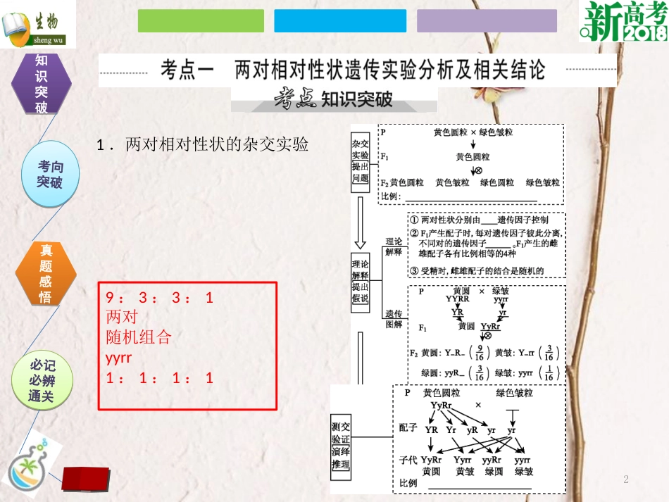 （全国卷 地区专用）高考生物总复习 第五单元 遗传定律和伴性遗传 第2讲 孟德尔的豌豆杂交实验（二）课件_第2页