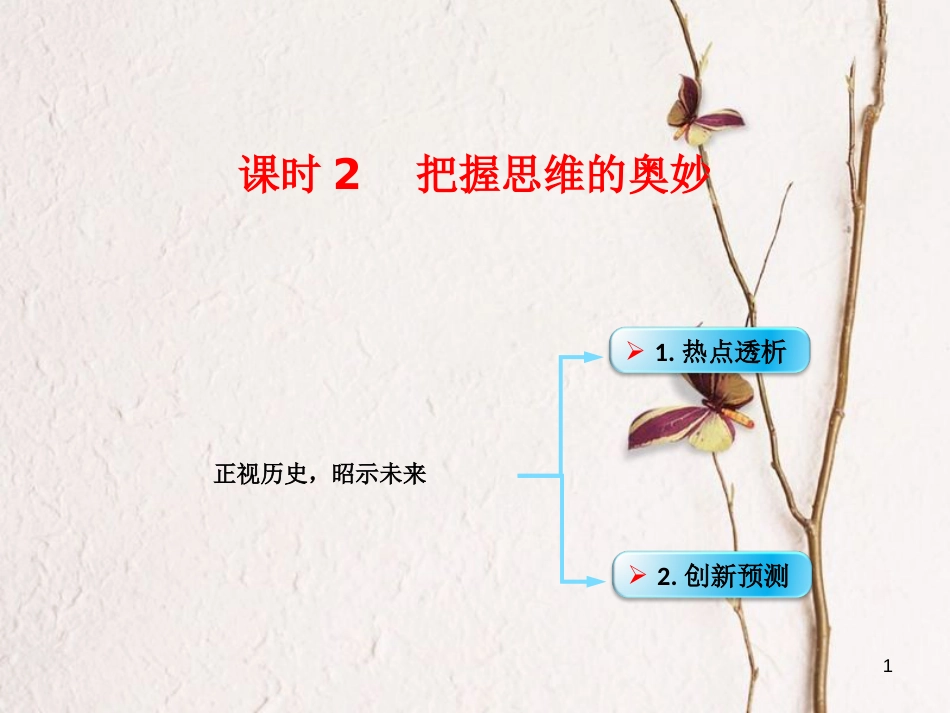 （全国通用Ⅱ）高考政治一轮复习 考点专题 模块4 单元14 课时2 把握思维的奥妙 热点突破 正视历史昭示未来课件_第1页