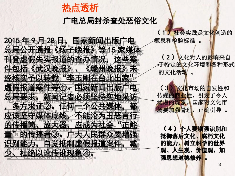 （全国通用Ⅱ）高考政治一轮复习 考点专题 模块3 单元12 课时1 走进文化生活 热点突破 广电总局封杀查处恶俗文化课件_第2页