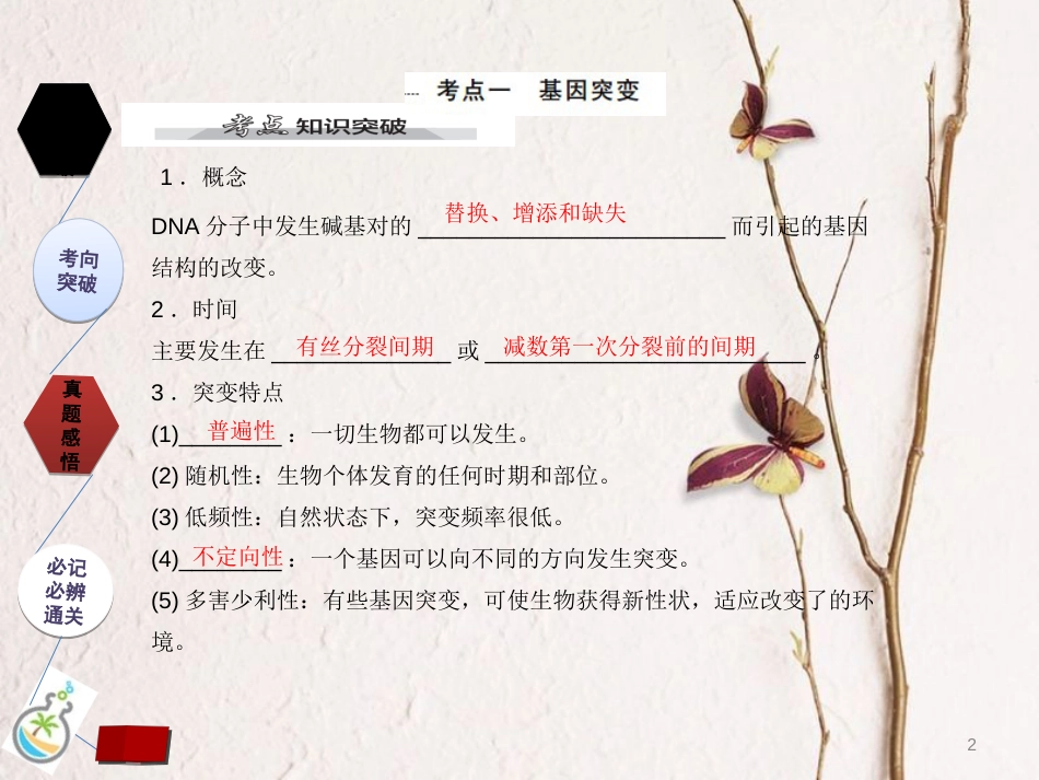 （全国卷 地区专用）高考生物总复习 第七单元 生物的变异、育种和进化 第1讲 基因突变和基因重组课件[共23页]_第2页