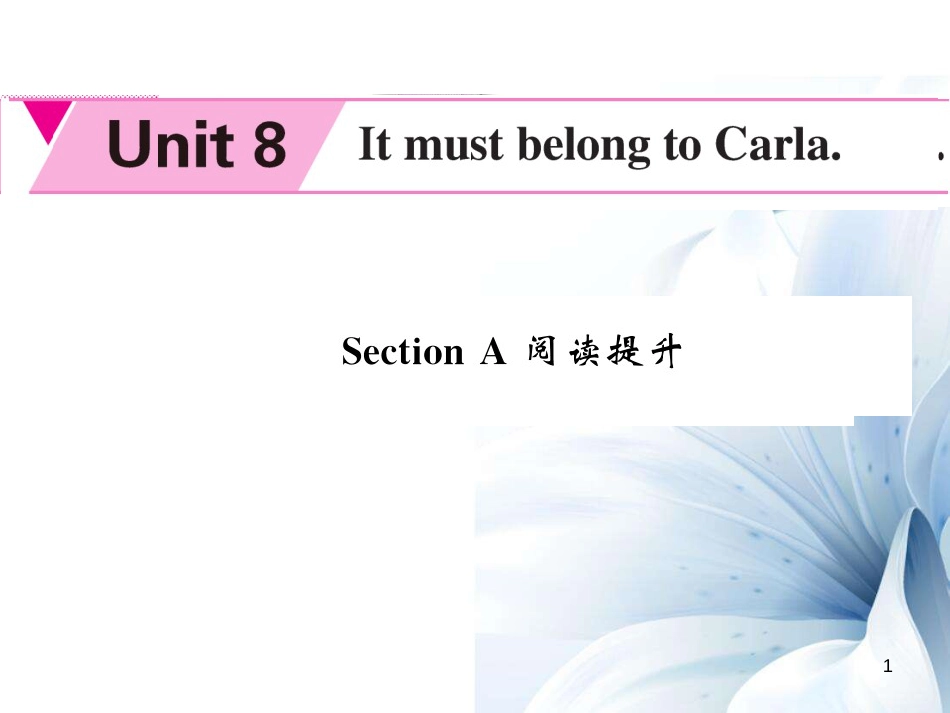 九年级英语全册 Unit 8 It must be belong to Carla Section A阅读提升课件 （新版）人教新目标版[共7页]_第1页