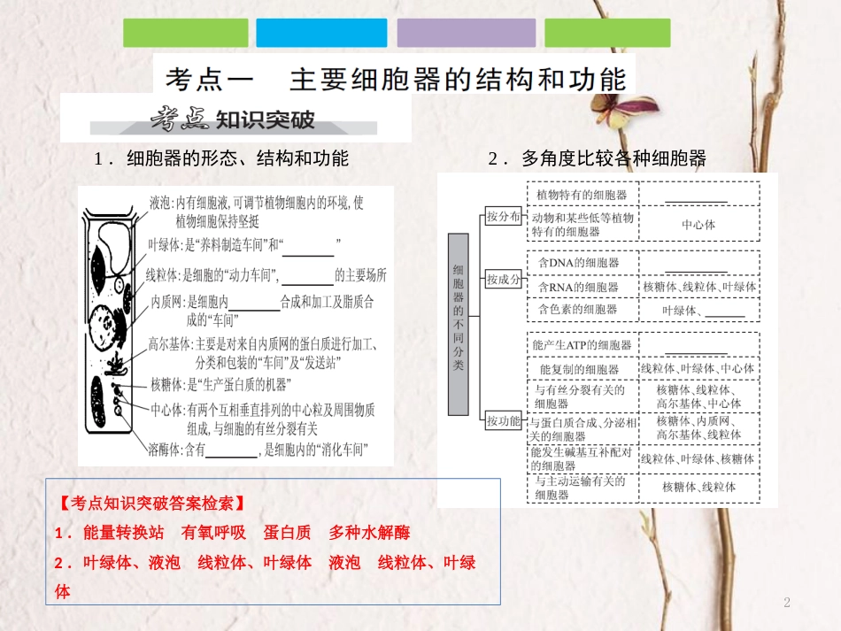 （全国卷 地区专用）高考生物总复习 第二单元 细胞的基本结构与物质的运输 第2讲 细胞器——系统内的分工合作课件_第2页