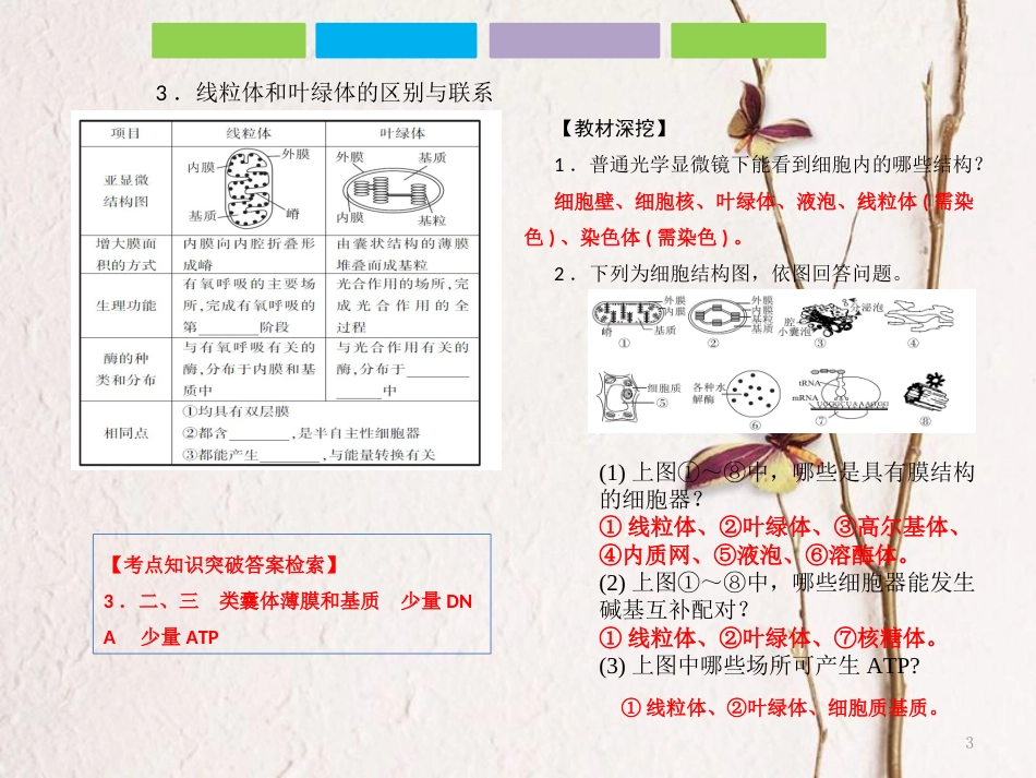 （全国卷 地区专用）高考生物总复习 第二单元 细胞的基本结构与物质的运输 第2讲 细胞器——系统内的分工合作课件_第3页