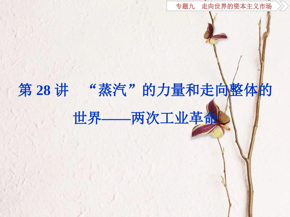 （全国通用）高考历史一轮复习 专题九 走向世界的资本主义市场 第28讲“蒸汽”的力量和走向整体的世界——两次工业革命课件_第1页