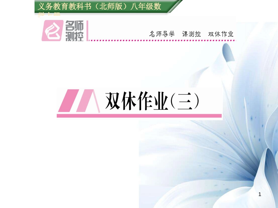 八年级数学上册 第二章 实数双休作业三课件 （新版）北师大版[共9页]_第1页