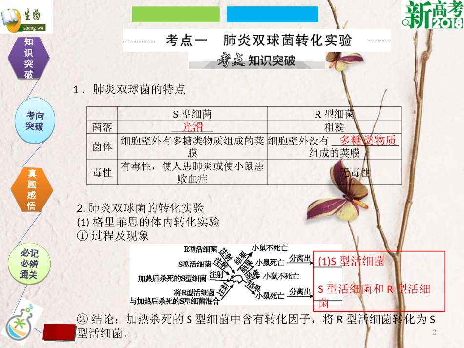 （全国卷 地区专用）高考生物总复习 第六单元 基因的本质与表达 第1讲 DNA是主要的遗传物质课件[共23页]_第2页