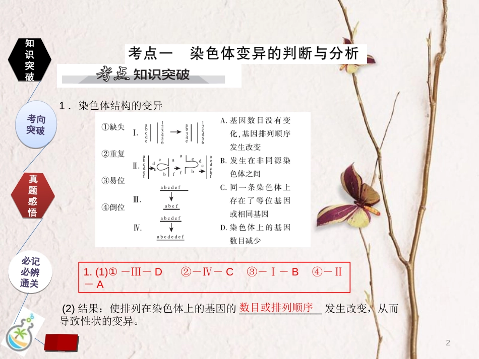 （全国卷 地区专用）高考生物总复习 第七单元 生物的变异、育种和进化 第2讲 染色体变异及生物育种课件_第2页