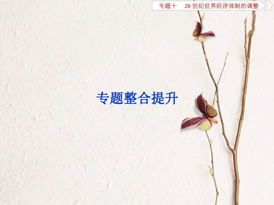 （全国通用）高考历史一轮复习 专题十 20世纪世界经济体制的调整专题整合提升课件_第1页