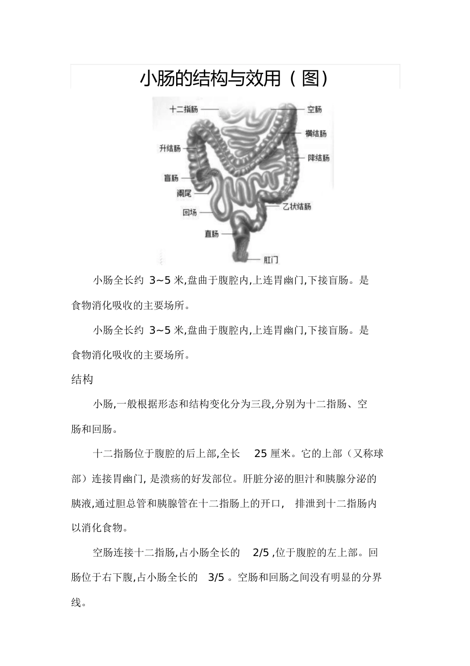 小肠的结构与功能(图)[共9页]_第1页