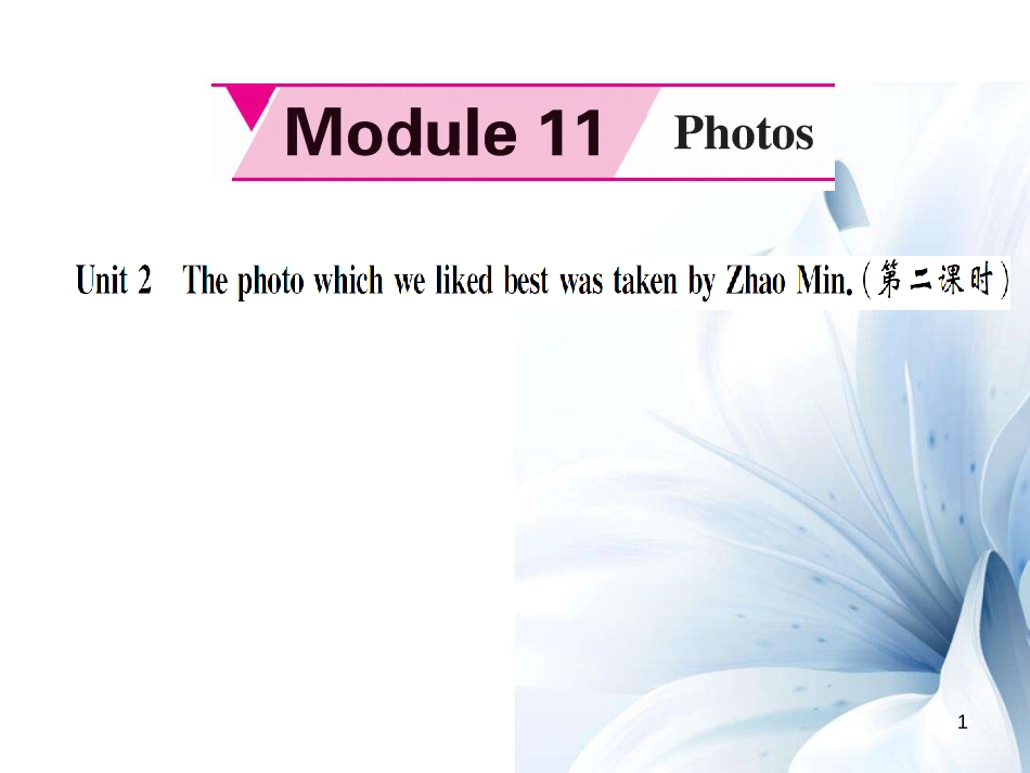 九年级英语上册 Module 11 Photos Unit 2 The photo which we liked best was taken by Zhao Min（第2课时）课件 （新版）外研版[共4页]_第1页