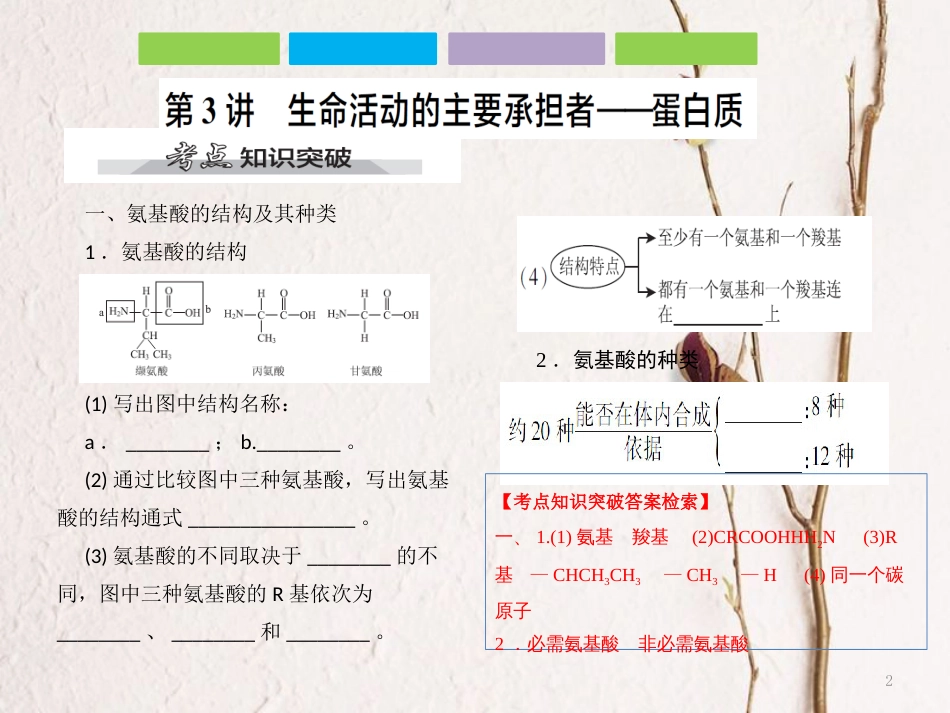 （全国卷 地区专用）高考生物总复习 第一单元 细胞及其分子组成 第3讲 生命活动的主要承担者——蛋白质课件_第2页