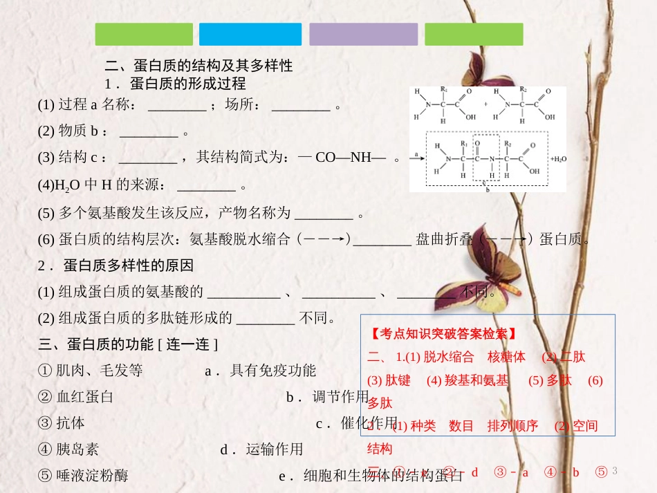 （全国卷 地区专用）高考生物总复习 第一单元 细胞及其分子组成 第3讲 生命活动的主要承担者——蛋白质课件_第3页