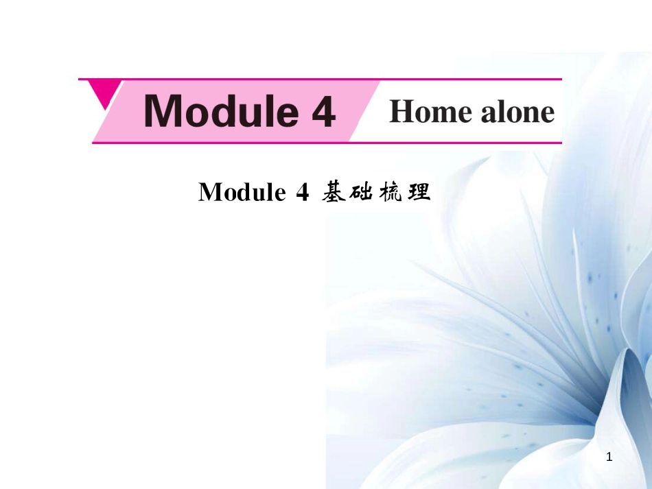 九年级英语上册 Module 4 Home alone基础梳理课件 （新版）外研版[共7页]_第1页