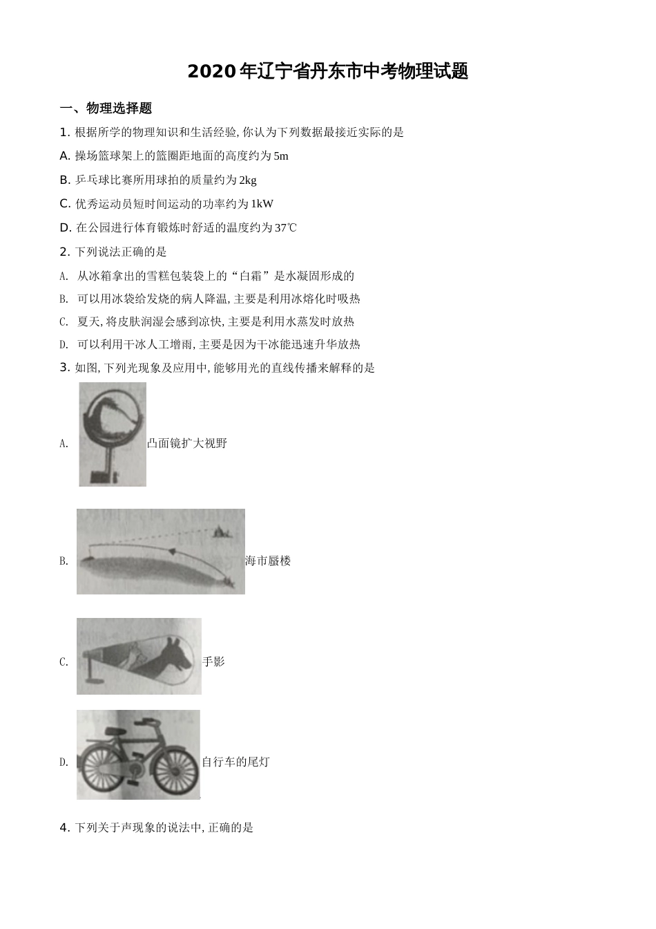 精品解析：2020年辽宁省丹东市中考物理试题（原卷版）_第1页