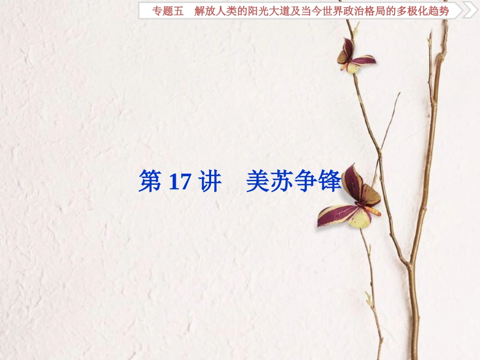 （全国通用）高考历史一轮复习 专题五 解放人类的阳光大道及当今世界政治格局的多极化趋势 第17讲 美苏争锋课件_第1页