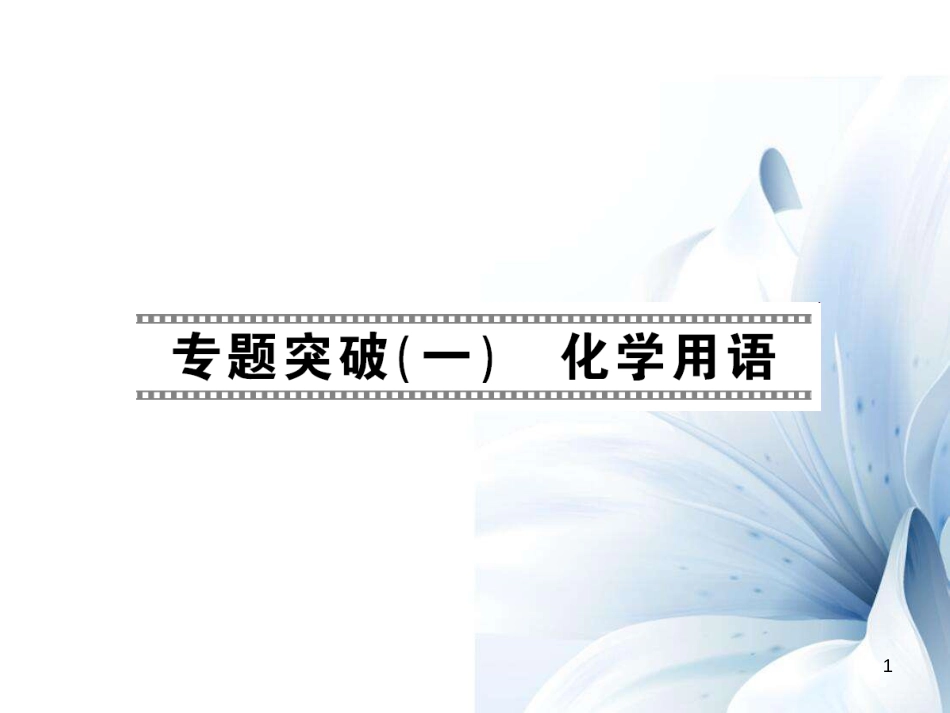 九年级化学上册 第5单元 化学方程式 专题突破（一）化学用语课件 （新版）新人教版[15页]_第1页