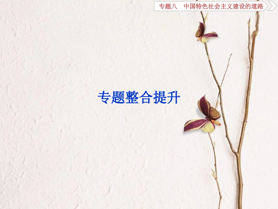（全国通用）高考历史一轮复习 专题八 中国特色社会主义建设的道路专题整合提升课件_第1页