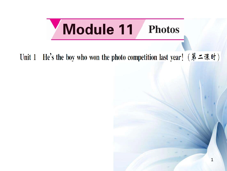 九年级英语上册 Module 11 Photos Unit 1 He’s the boy who won the photo competition last year（第2课时）课件 （新版）外研版[共4页]_第1页