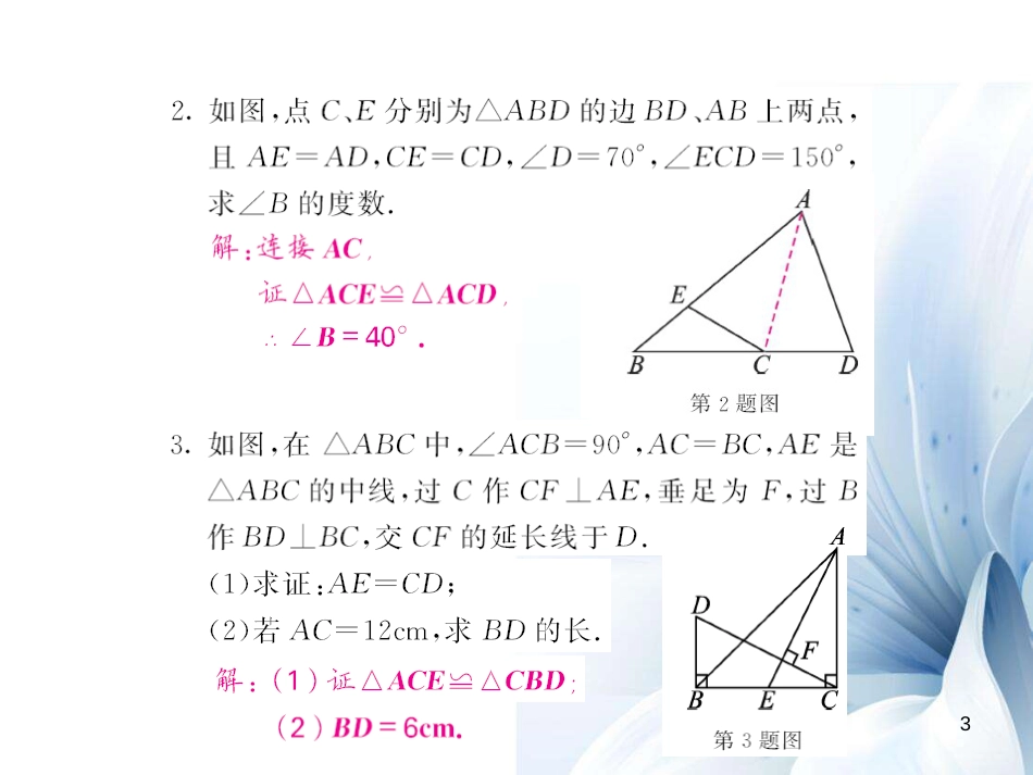 八年级数学上册 滚动专题训练一 三角形全等的五种判定方法课件 （新版）新人教版[共10页]_第3页