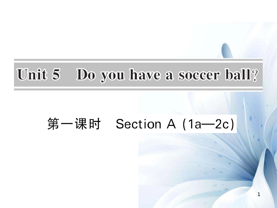 七年级英语上册 Unit 5 Do you have a soccer ball（第1课时）课件 （新版）人教新目标版[共7页]_第1页