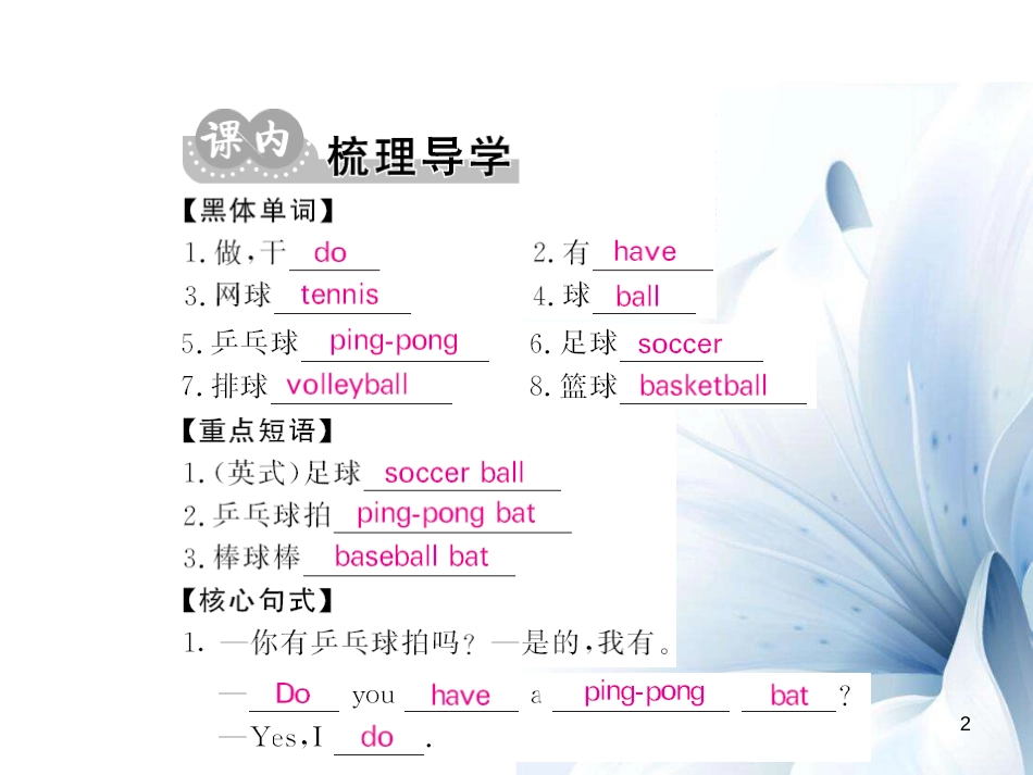 七年级英语上册 Unit 5 Do you have a soccer ball（第1课时）课件 （新版）人教新目标版[共7页]_第2页