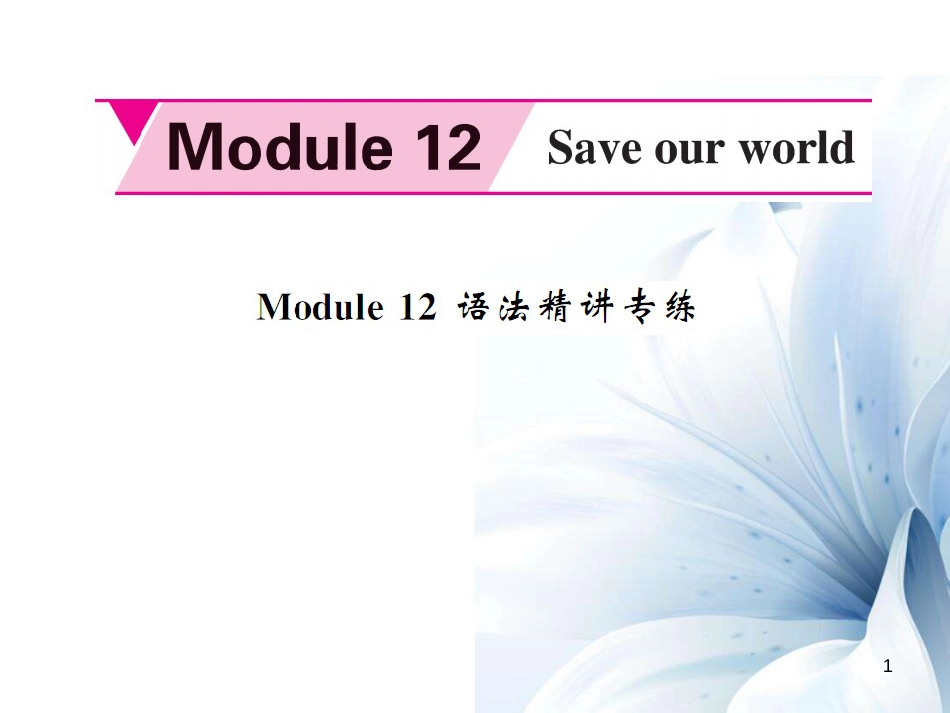 九年级英语上册 Module 12 Save our world语法精讲专练课件 （新版）外研版[共5页]_第1页