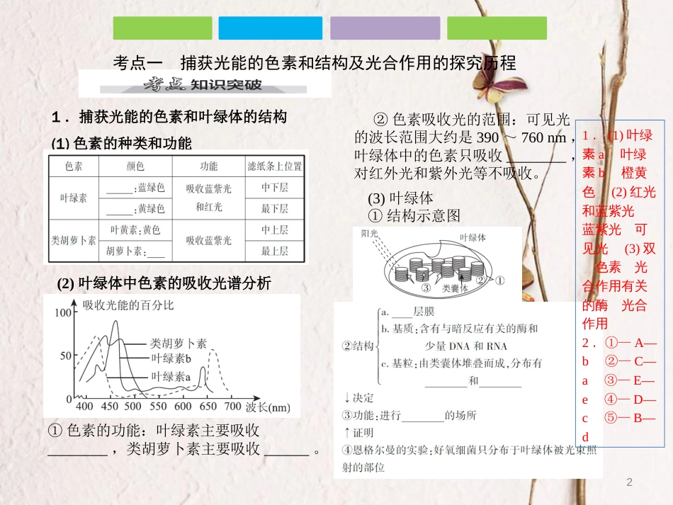 （全国卷 地区专用）高考生物总复习 第三单元 细胞的能量供应和利用第3讲  能量之源——光与光合作用课件_第2页