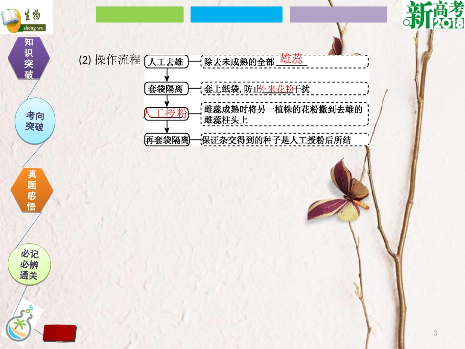 （全国卷 地区专用）高考生物总复习 第五单元 遗传定律和伴性遗传 第1讲 孟德尔的豌豆杂交实验（一）课件_第3页