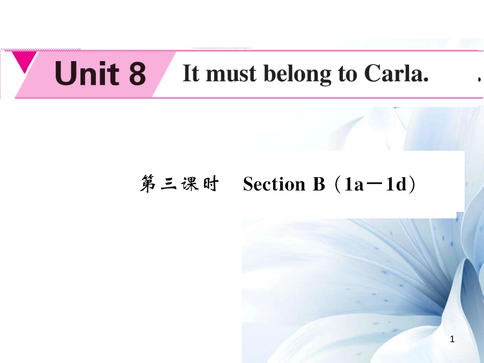 九年级英语全册 Unit 8 It must be belong to Carla（第3课时）课件 （新版）人教新目标版[共5页]_第1页