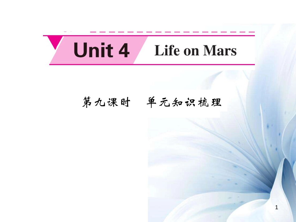 九年级英语下册 Unit 4 Life on Mars（第9课时）课件 （新版）牛津版[共8页]_第1页