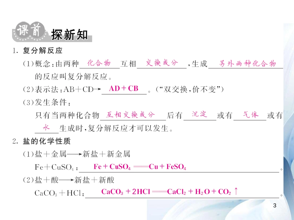 九年级化学下册 第11单元 盐 化肥 课题1 第2课时 复分解反应与盐的化学性质课件 （新版）新人教版[13页]_第3页