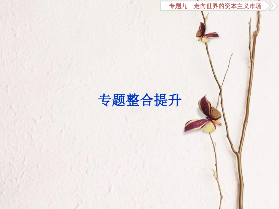 （全国通用）高考历史一轮复习 专题九 走向世界的资本主义市场专题整合提升课件_第1页