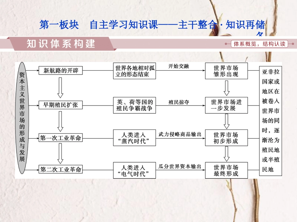 （全国通用）高考历史一轮复习 专题九 走向世界的资本主义市场专题整合提升课件_第2页