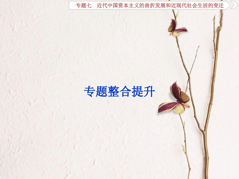 （全国通用）高考历史一轮复习 专题七 近代中国资本主义的曲折发展和近现代社会生活的变迁专题整合提升课件_第1页