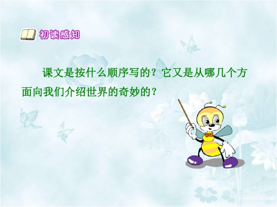 《这个奇妙的世界》课件解读_第3页