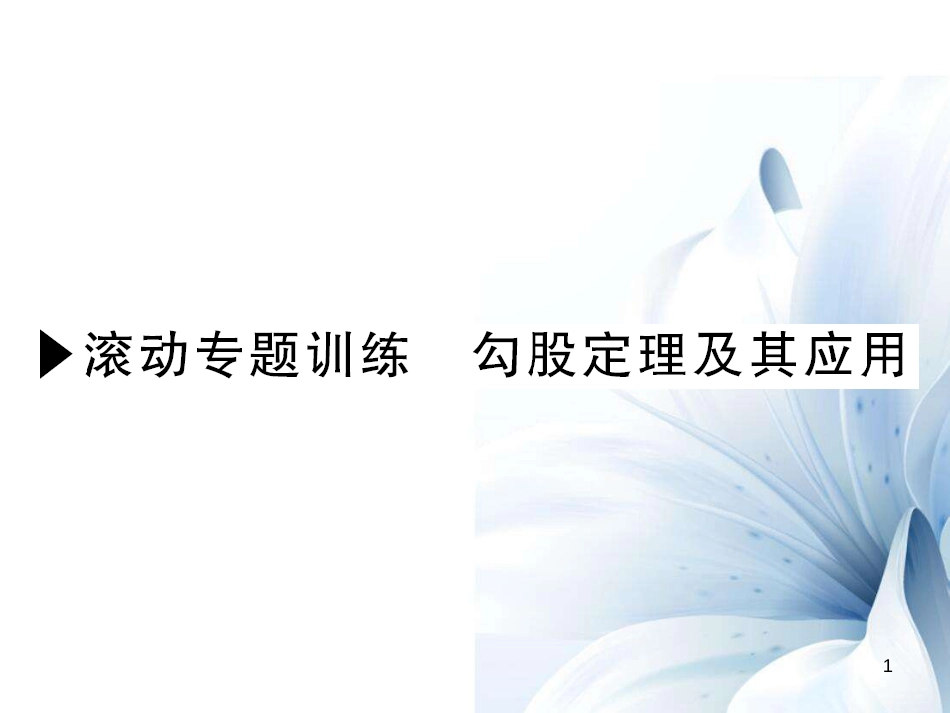 八年级数学上册 滚动专题训练 勾股定理及其应用课件 （新版）北师大版[共6页]_第1页