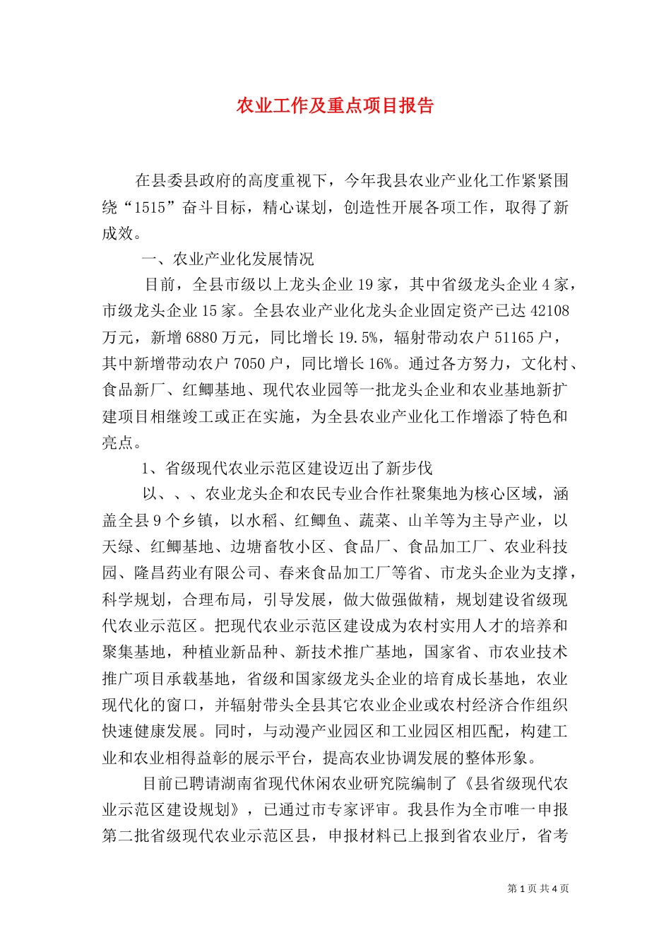 农业工作及重点项目报告_第1页