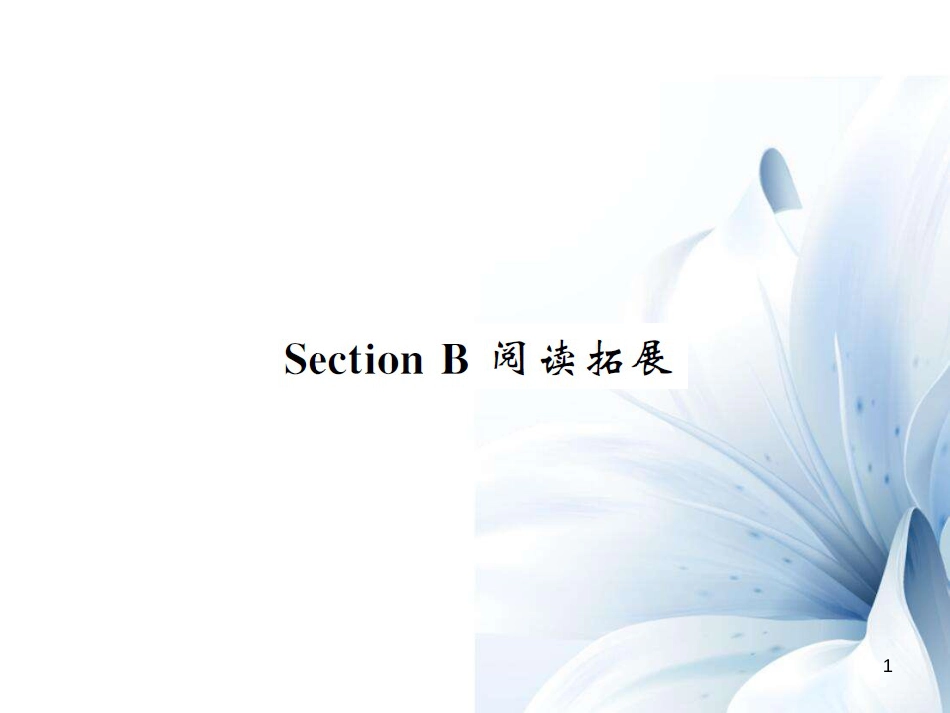 九年级英语全册 Unit 8 It must belong to Carla Section B阅读拓展课件 （新版）人教新目标版[共9页]_第1页