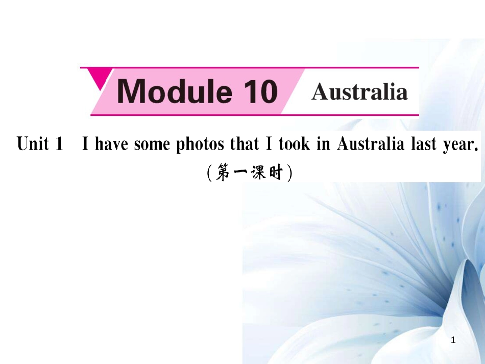 九年级英语上册 Module 10 Australia Unit 1 I have some photos that I took in Australia last year（第1课时）课件 （新版）外研版[共4页]_第1页