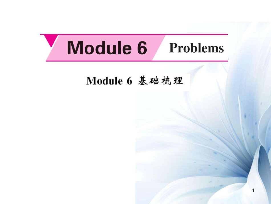 九年级英语上册 Module 6 Problems基础梳理课件 （新版）外研版[共7页]_第1页