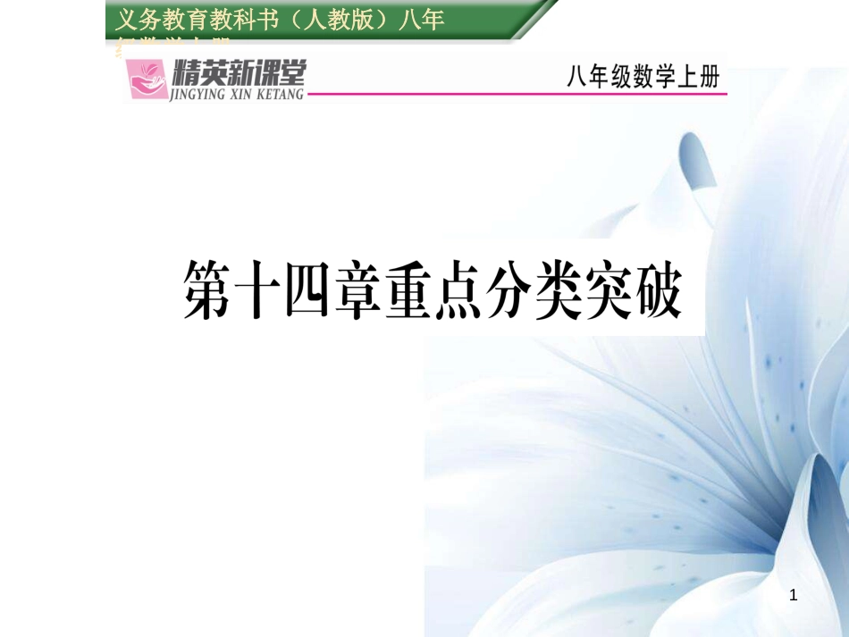 八年级数学上册 第十四章 整式的乘法与因式分解重点分类突破课件 （新版）新人教版[共18页]_第1页