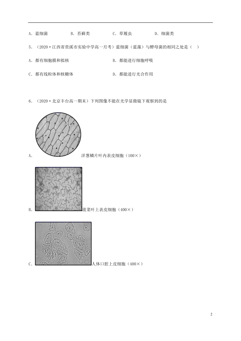 2020-2021学年高一生物上学期期中测试卷02（人教版2019必修1第1、2章）（原卷版）_第2页